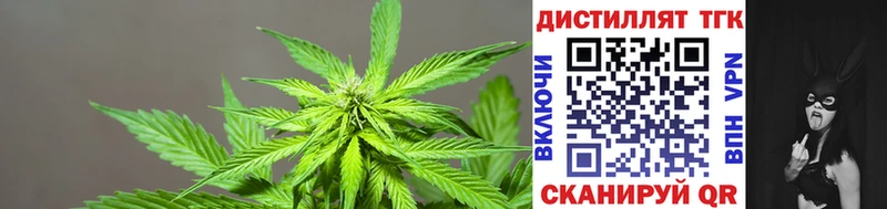закладка нарко площадка как зайти ТГК концентрат Терек