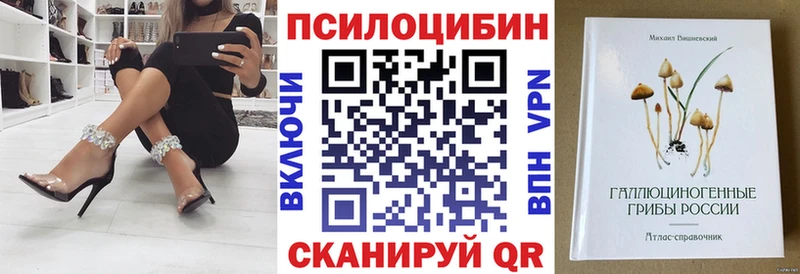 Псилоцибиновые грибы Psilocybine cubensis  цены наркотик  Терек 